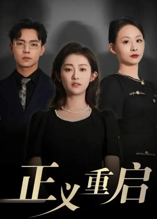 谍战风云 海报